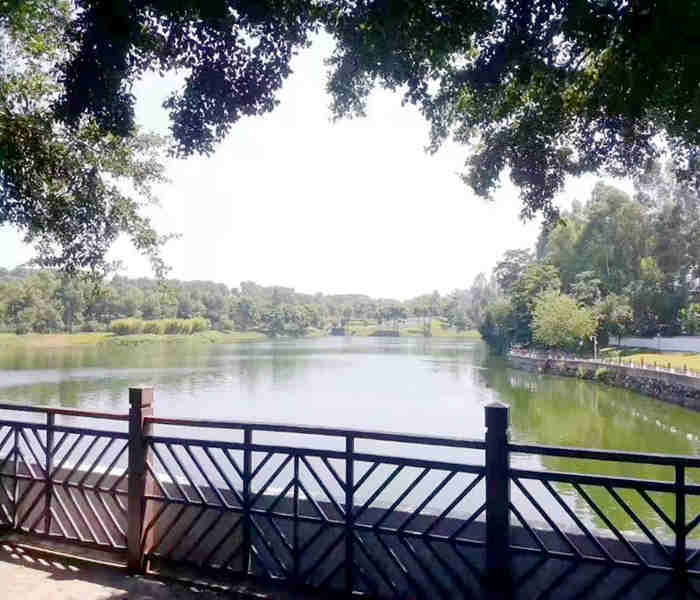 石巖料坑小產權房-南光大廈