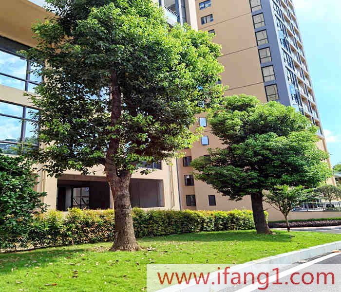 鳳崗小產權房買賣