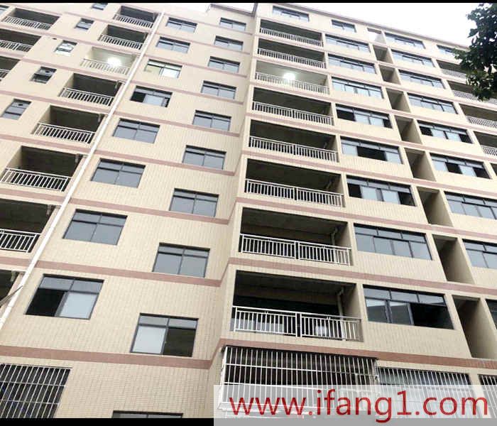 <a href=/dalang/ target=_blank class=infotextkey>大朗小產權新樓盤</a>