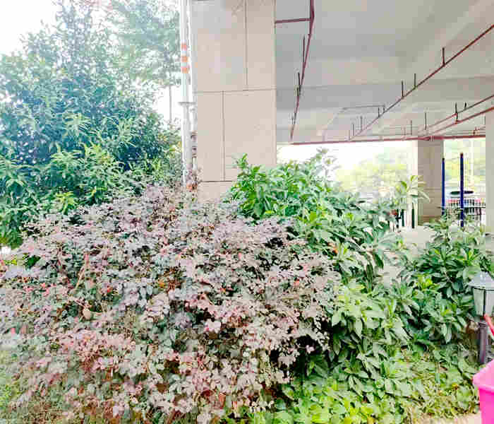 龍華最新小產權房：石巖國際3棟花園小區房