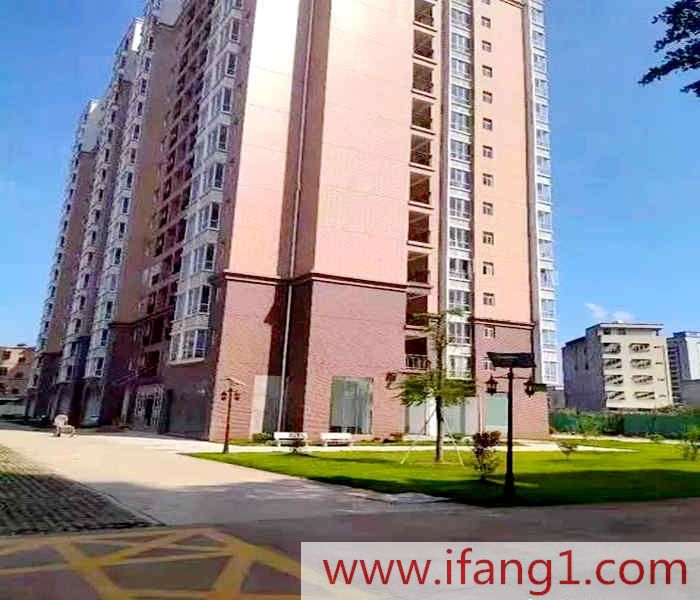 坪山村委統建樓