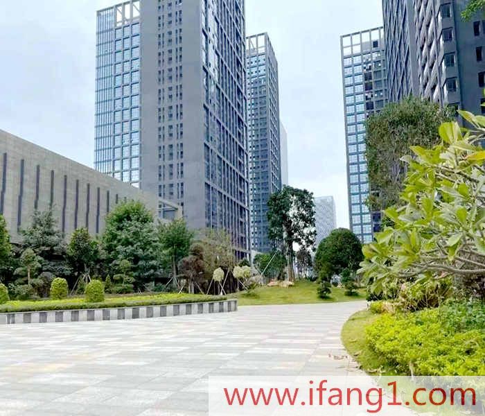 龍崗寶龍小產權房